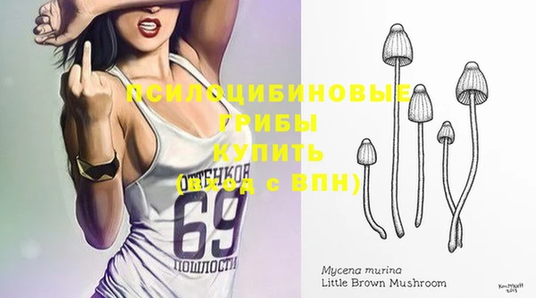героин Няндома
