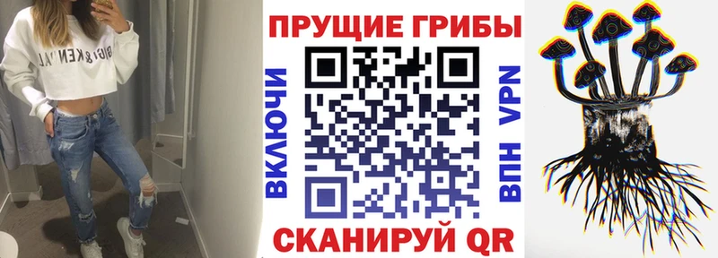 Галлюциногенные грибы Psilocybine cubensis  Новочеркасск 