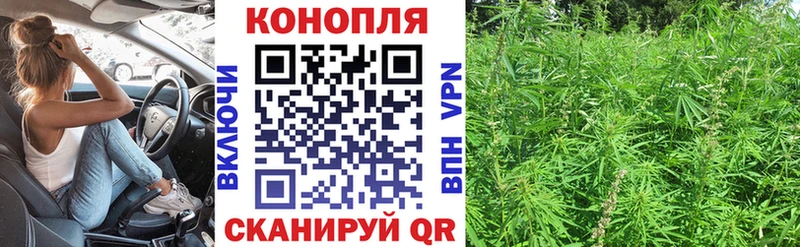 МАРИХУАНА White Widow Новочеркасск